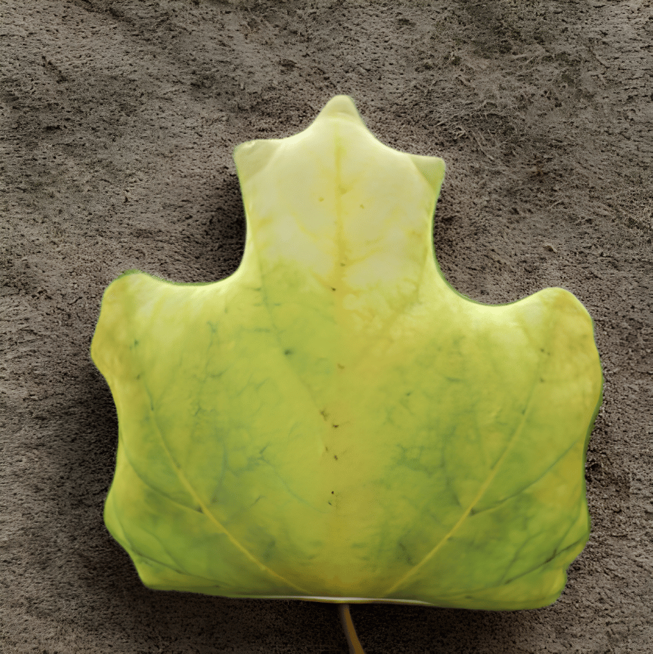 植物型クッション　ナチュラル　インテリア