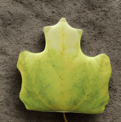 植物型クッション　ナチュラル　インテリア