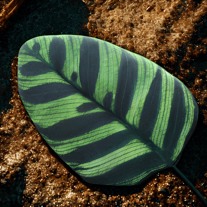 植物型クッション　ナチュラル　インテリア