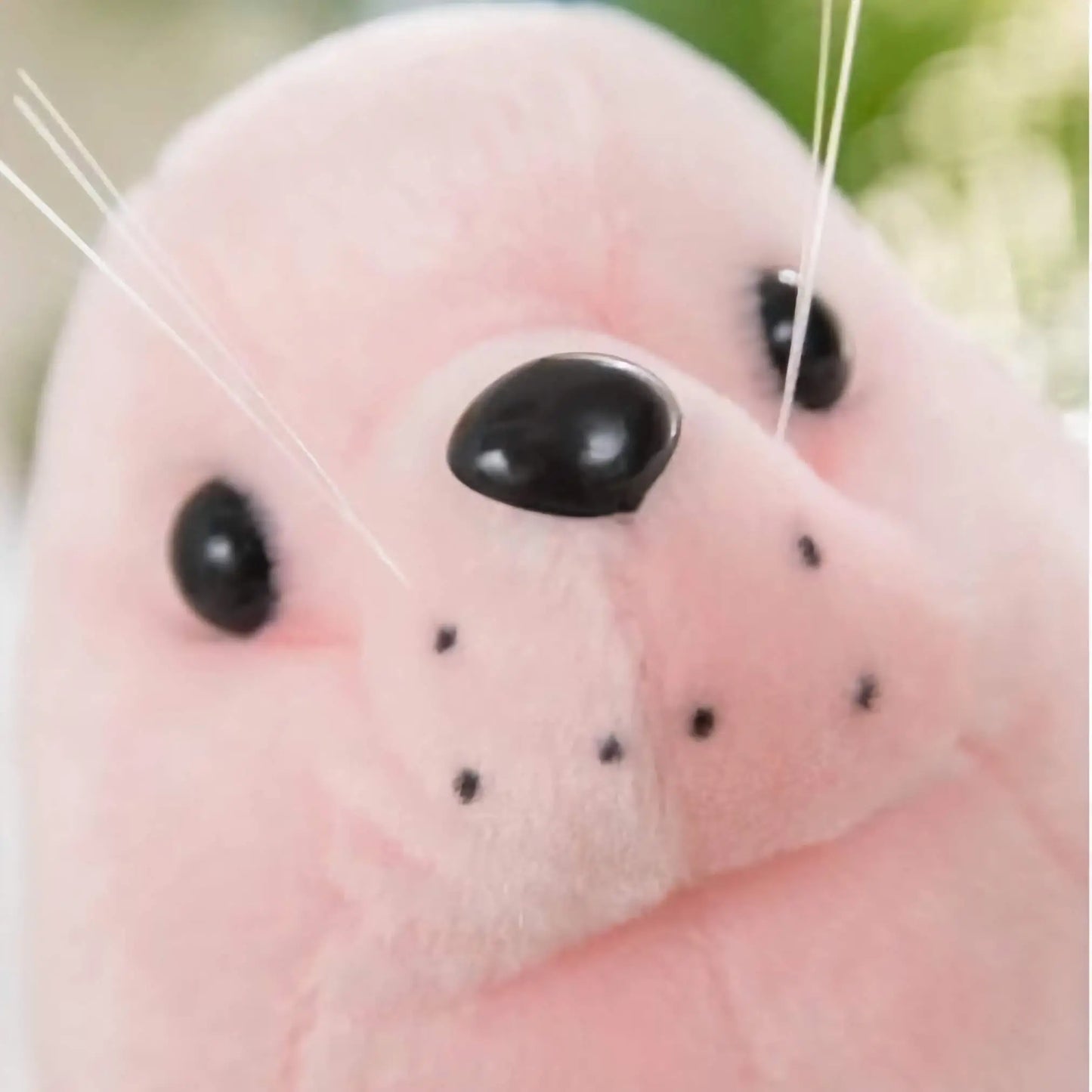 ぬいぐるみ アザラシ  小さい 顔 25cm